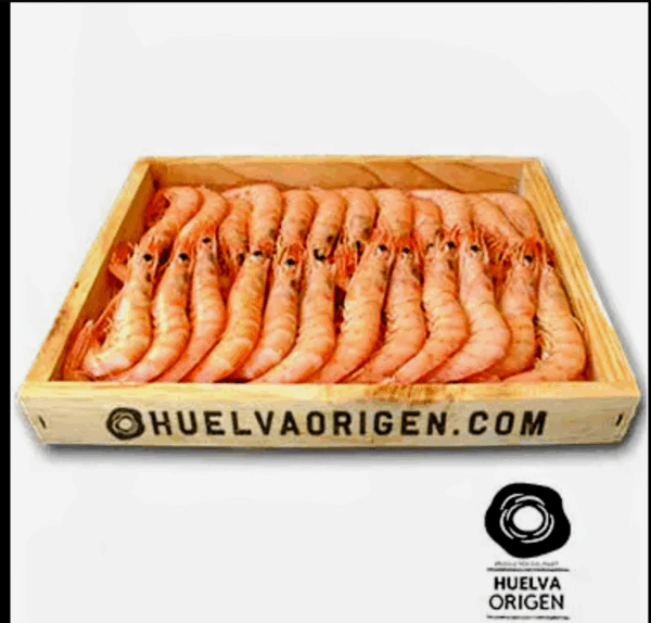 GAMBA BLANCA COCIDA CAJA DE 1 kg. 24 €.(congelado)