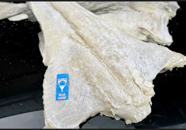 BACALAO SALADO CONCHAMAR 17,00 € kg.